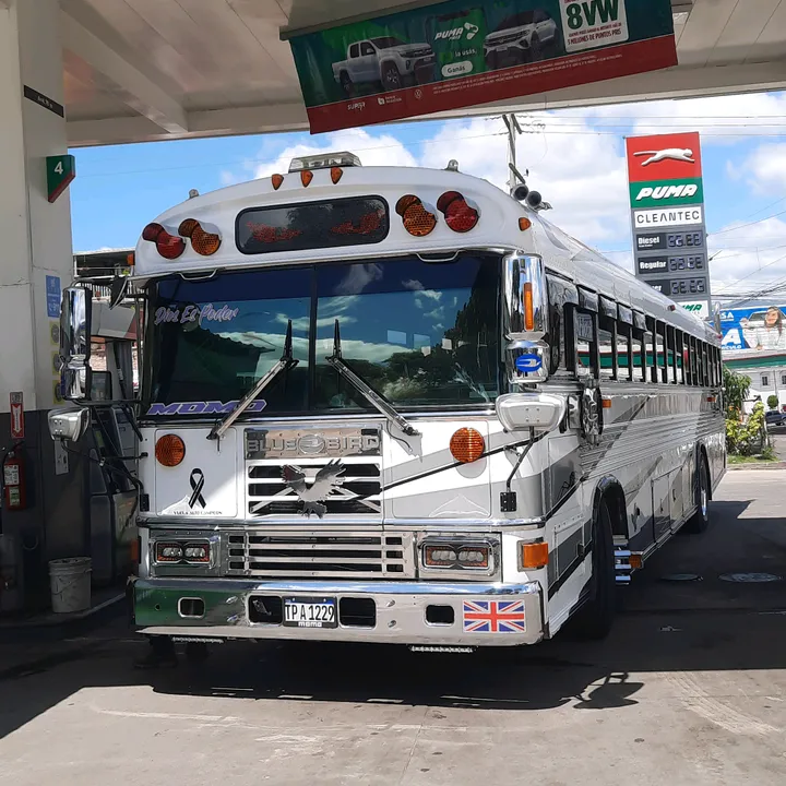 @buses._.elegantes