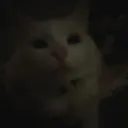 @god_of_the_glorp