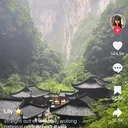 @zfeuu531