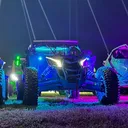 @lambointhemud