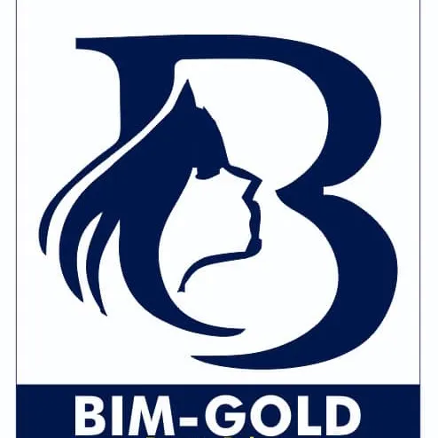 bimgold_beauty_salon