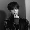 greyfeedx