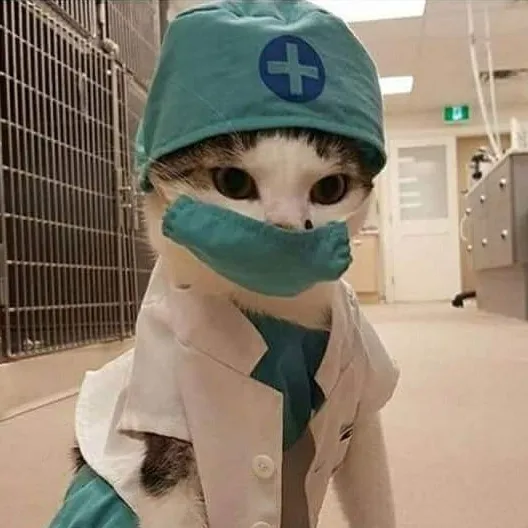 dadiology