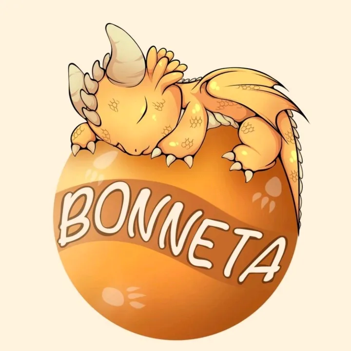 bonneta.shop