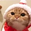 @ram_8896
