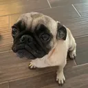 @claudia.l53