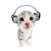 whatsthatsound