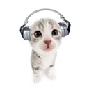 @whatsthatsound