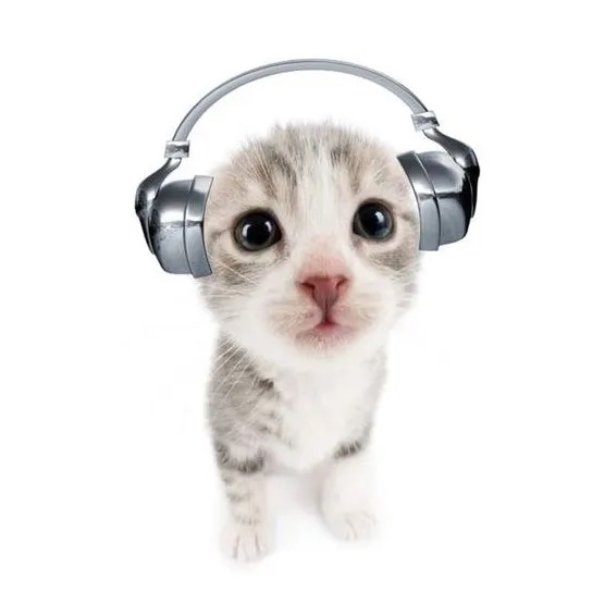 @whatsthatsound