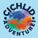 @cichlid.adventure