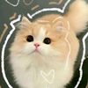 mymyksy8
