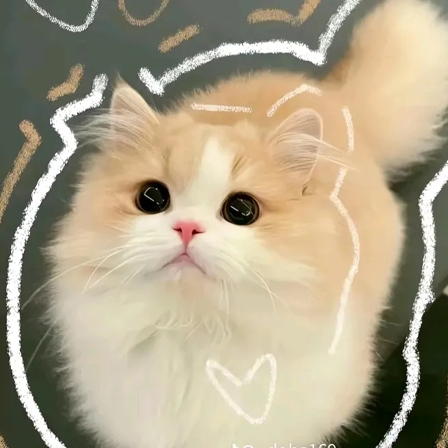 mymyksy8