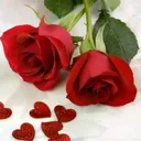 @kardelen6754