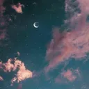 @koalatothemax.com_