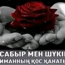 @askm7920