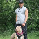 @betterbestdog