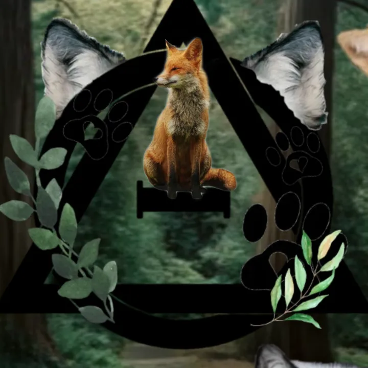 _fox_therain_