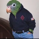 @levstonn