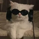 @music.time217