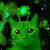iluvcats3100bc