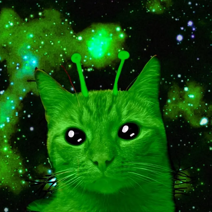 iluvcats3100bc