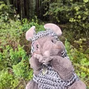 @sir_mousecot