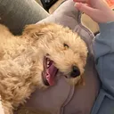 @marley.the.labrad