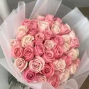 @www.tiktok.marisabelyan3