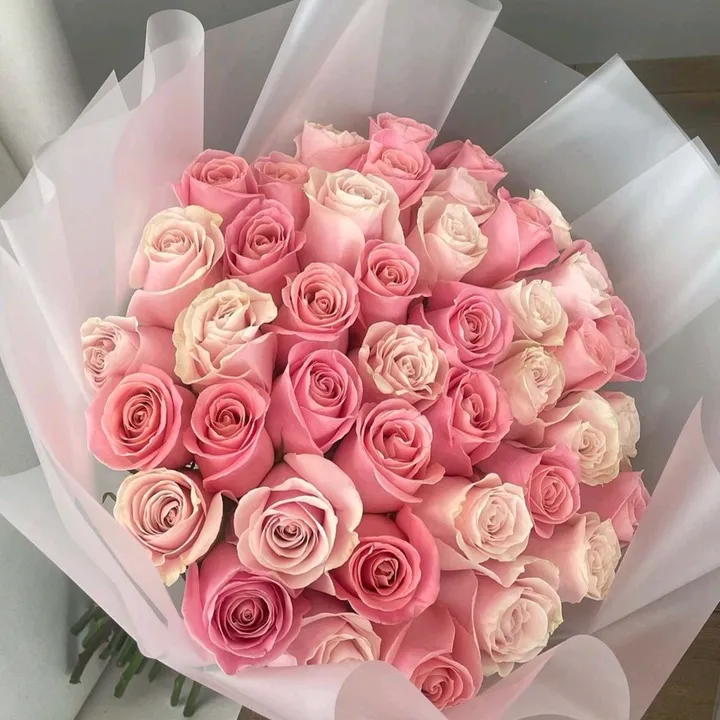 www.tiktok.marisabelyan3