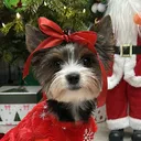@bieweryork25pl