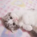 @imjsarandom..0
