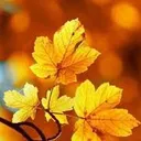 @user45938419974327