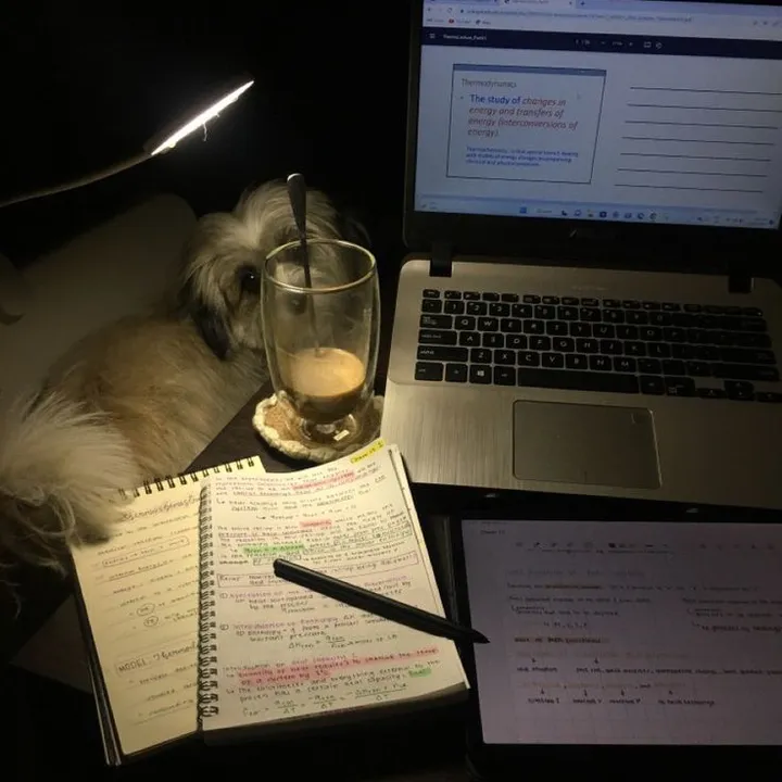 duetostudy0