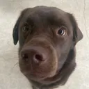 @thescoopswithcoop