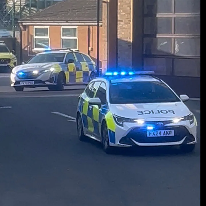 lincsbluelightstrio