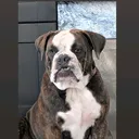 @sydney.bean5