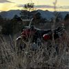 cold.crf88