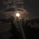 @vazo336