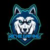 1gangganrichie_gaming
