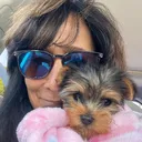 @miamagic.theyorkie