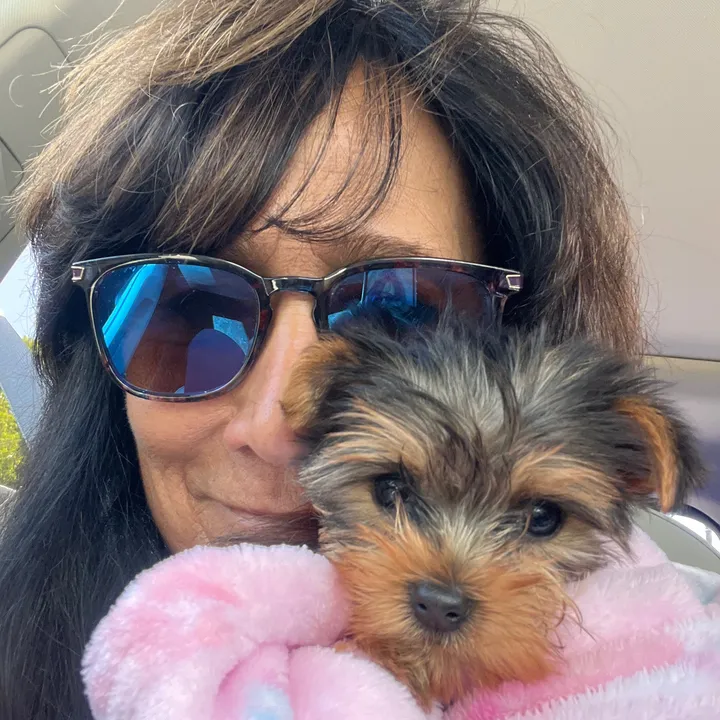 @miamagic.theyorkie