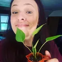 @art_plant_upcycle