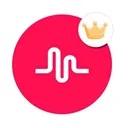 @musicalycrownmeup