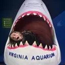 @quinnyluvsu