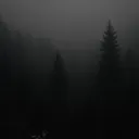 @solomasonn