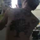 @tremi.llama