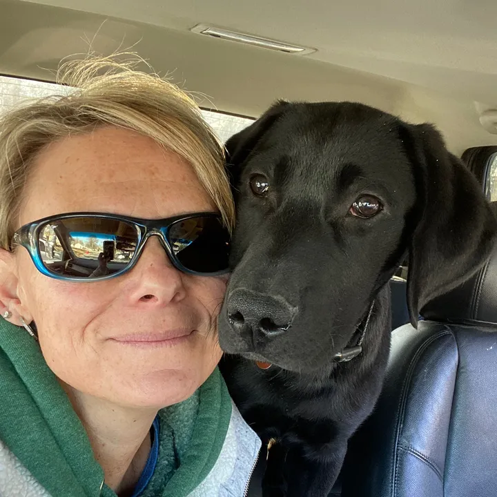 the_k9_coach