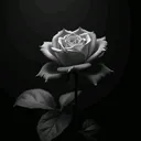 @sash8859