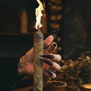 @oks_fox2
