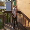 minnesorta_nice_